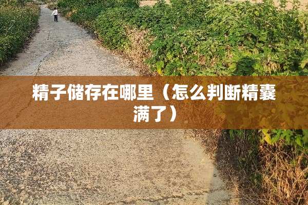 **储存在哪里（怎么判断精囊满了）