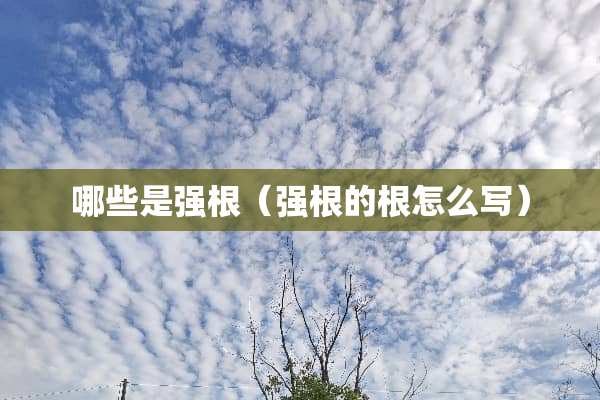 哪些是强根（强根的根怎么写）