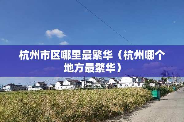 杭州市区哪里最繁华（杭州哪个地方最繁华）