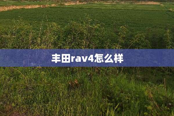 丰田rav4怎么样