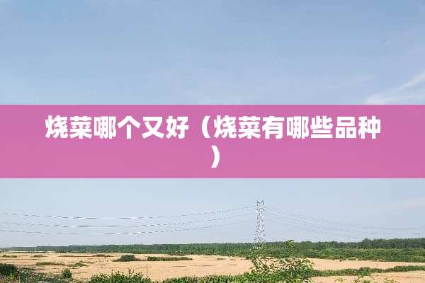 烧菜哪个又好（烧菜有哪些品种）