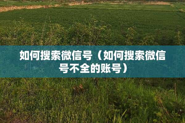 如何搜索微信号（如何搜索微信号不全的账号）