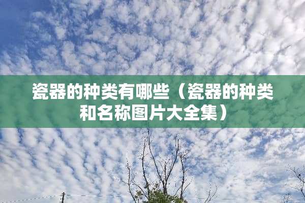 瓷器的种类有哪些（瓷器的种类和名称图片大全集）