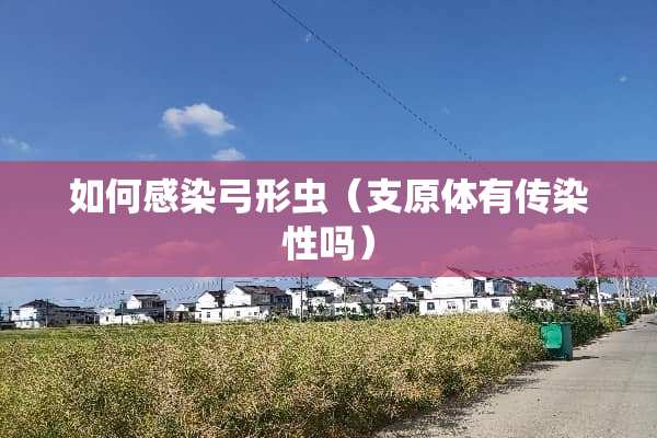 如何感染弓形虫（支原体有传染性吗）