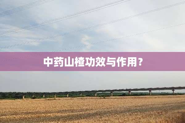 中药山楂功效与作用？