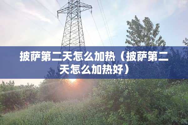 披萨第二天怎么加热（披萨第二天怎么加热好）