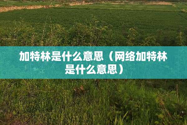 加特林是什么意思（网络加特林是什么意思）
