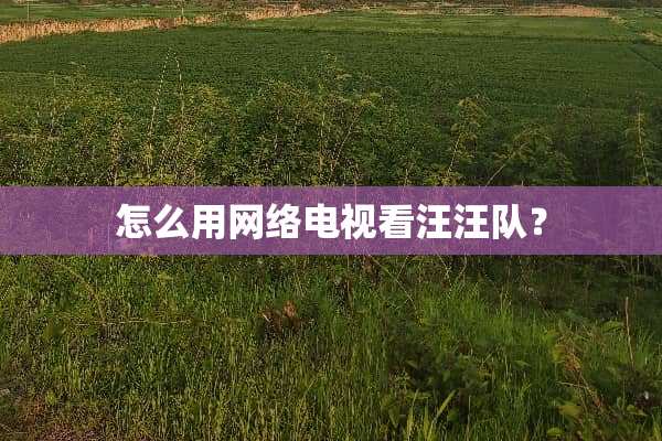 怎么用网络电视看汪汪队？