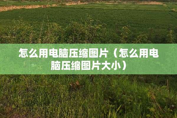 怎么用电脑压缩图片（怎么用电脑压缩图片大小）