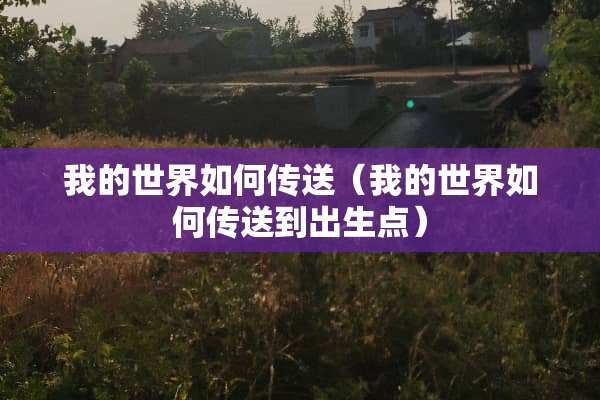 我的世界如何传送（我的世界如何传送到出生点）