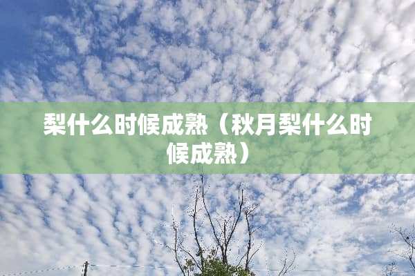 梨什么时候成熟（秋月梨什么时候成熟）