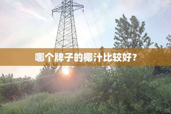 哪个牌子的椰汁比较好？