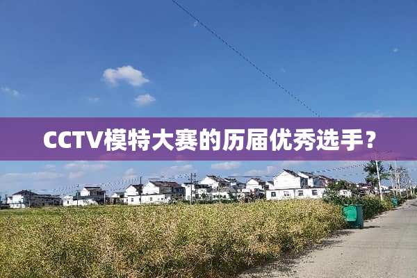 CCTV模特大赛的历届优秀选手？