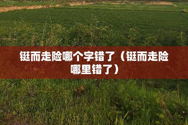 铤而走险哪个字错了（铤而走险哪里错了）