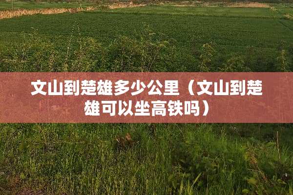 文山到楚雄多少公里（文山到楚雄可以坐高铁吗）
