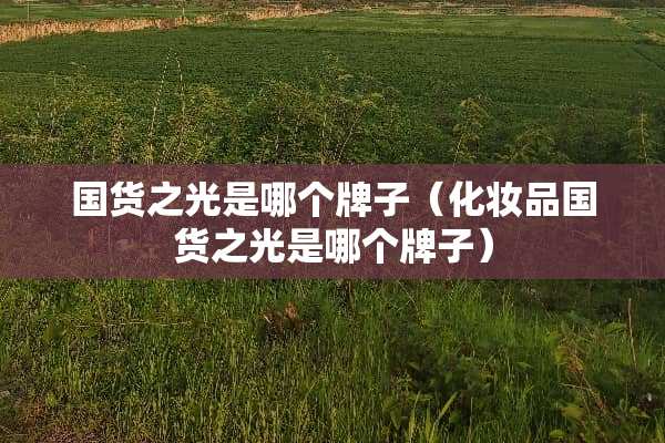 国货之光是哪个牌子（化妆品国货之光是哪个牌子）
