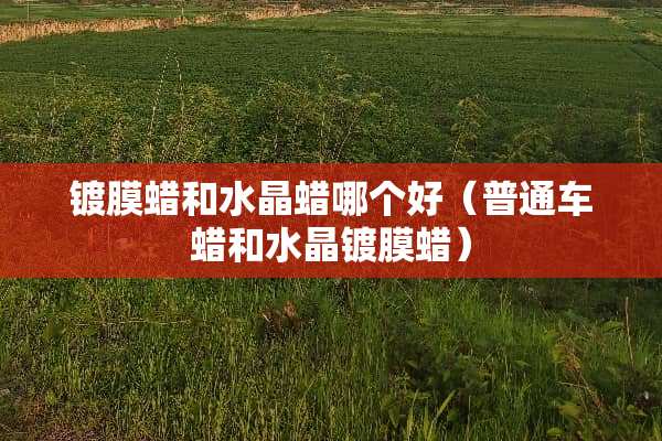 镀膜蜡和水晶蜡哪个好（普通车蜡和水晶镀膜蜡）