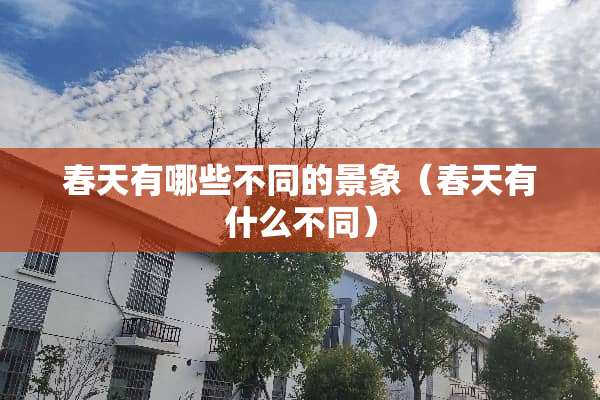 春天有哪些不同的景象（春天有什么不同）