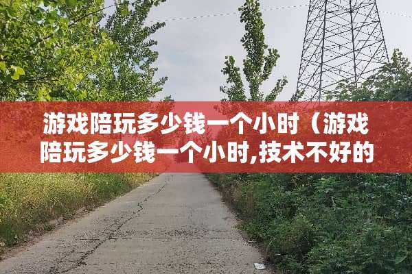 游戏陪玩多少钱一个小时（游戏陪玩多少钱一个小时,技术不好的）