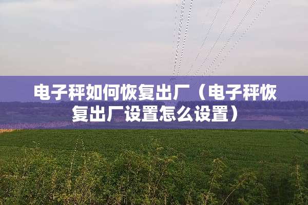 电子秤如何恢复出厂（电子秤恢复出厂设置怎么设置）