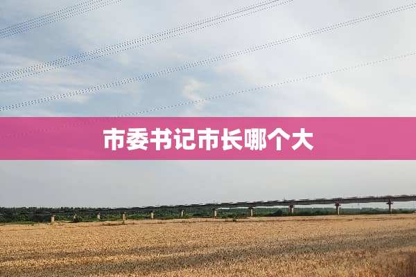市委**市长哪个大