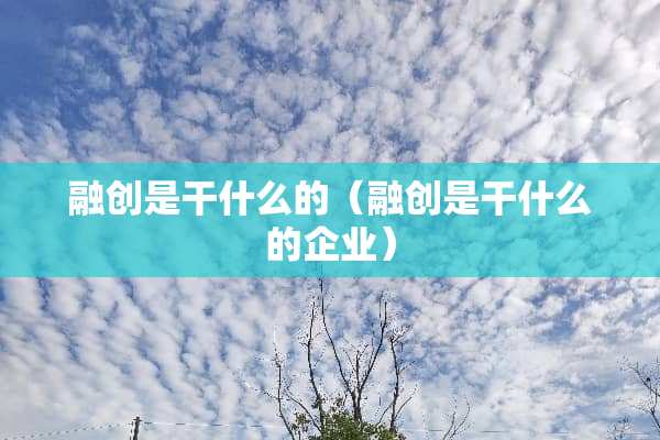 融创是干什么的（融创是干什么的企业）