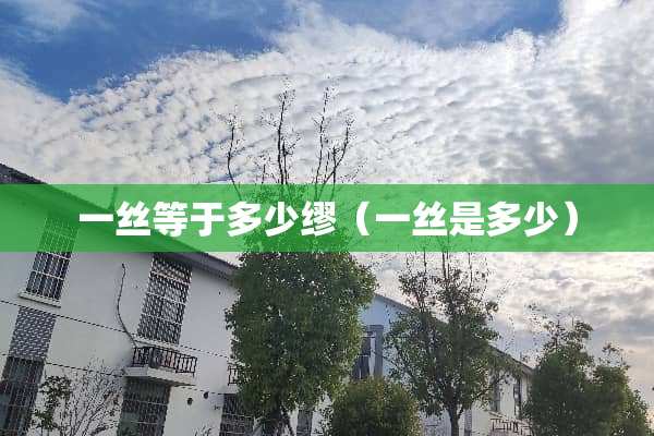 一丝等于多少缪（一丝是多少）