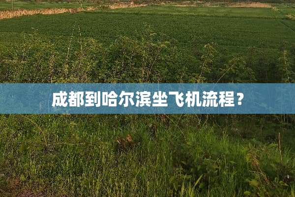 成都到哈尔滨坐飞机流程？