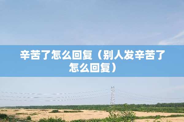 辛苦了怎么回复（别人发辛苦了怎么回复）