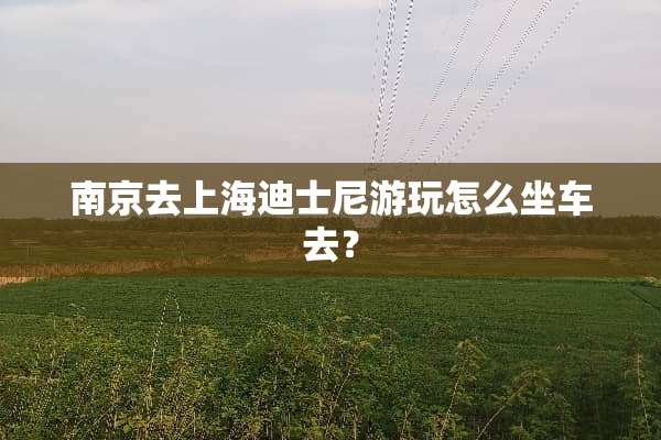 南京去上海迪士尼游玩怎么坐车去？