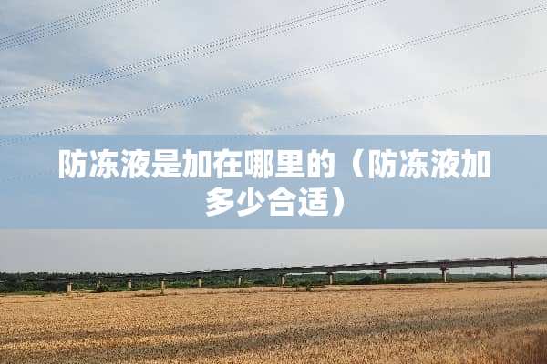 防冻液是加在哪里的（防冻液加多少合适）