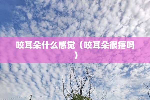 咬耳朵什么感觉（咬耳朵很疼吗）