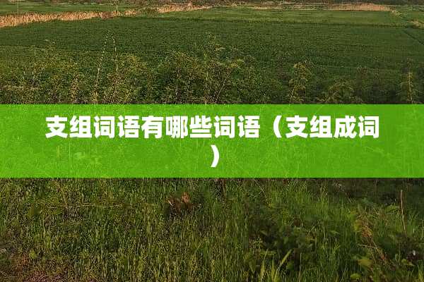 支组词语有哪些词语（支组成词）