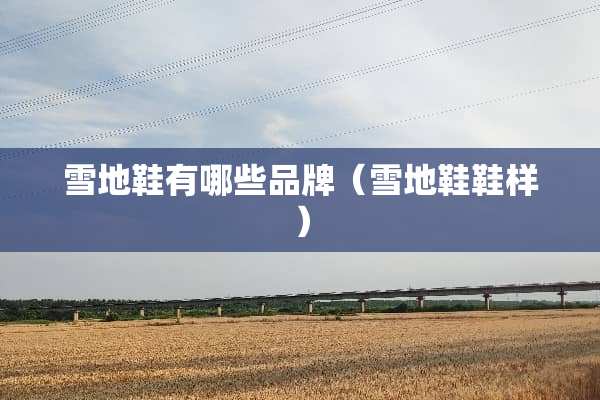 雪地鞋有哪些品牌（雪地鞋鞋样）