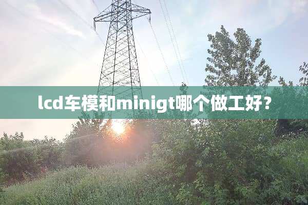 lcd车模和minigt哪个做工好？
