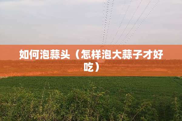 如何泡蒜头（怎样泡大蒜子才好吃）