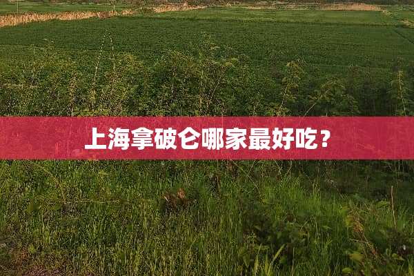 上海拿破仑哪家最好吃？