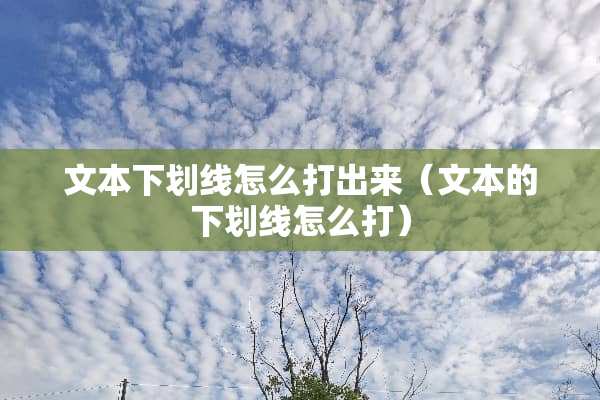 文本下划线怎么打出来（文本的下划线怎么打）