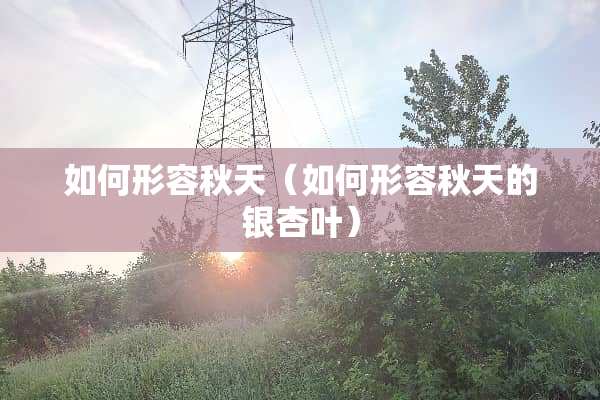 如何形容秋天（如何形容秋天的银杏叶）