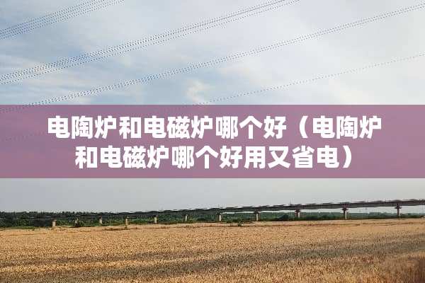 电陶炉和电磁炉哪个好（电陶炉和电磁炉哪个好用又省电）