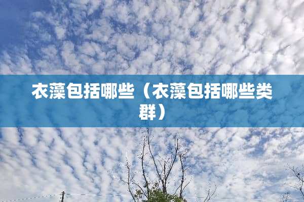 衣藻包括哪些（衣藻包括哪些类群）