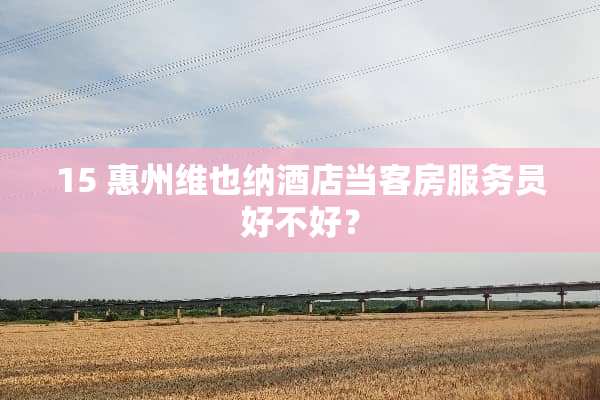 15 惠州维也纳酒店当客房服务员好不好？