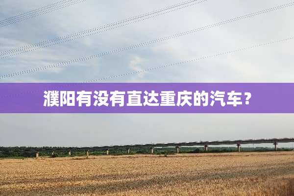 濮阳有没有直达重庆的汽车？