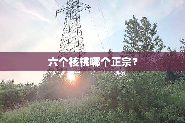 六个核桃哪个正宗？
