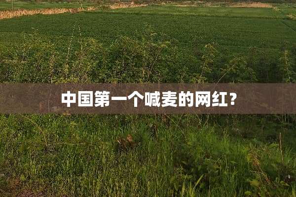 中国第一个喊麦的网红？