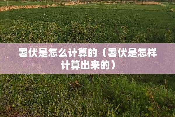 暑伏是怎么计算的（暑伏是怎样计算出来的）