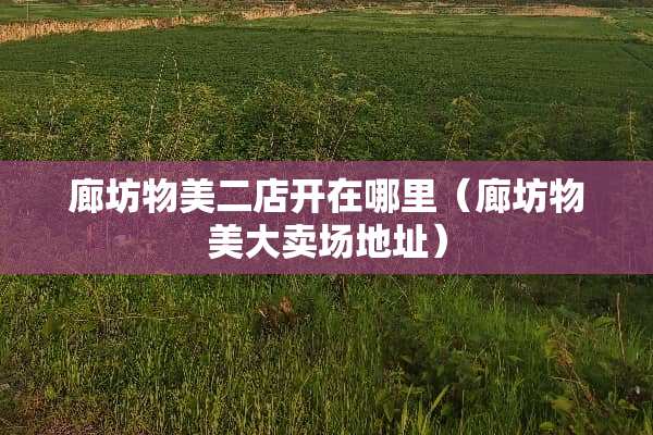 廊坊物美二店开在哪里（廊坊物美大卖场地址）