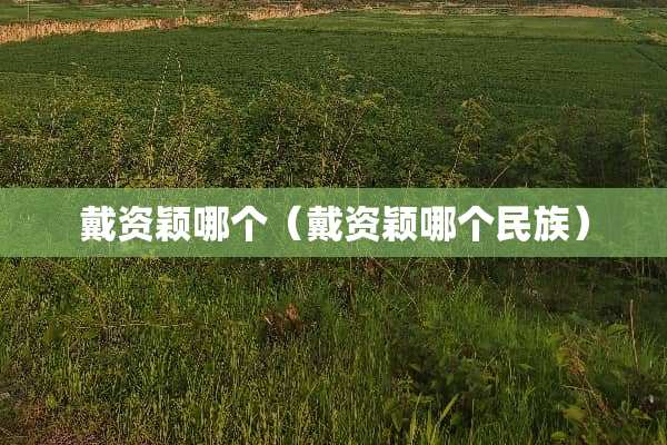 戴资颖哪个（戴资颖哪个民族）