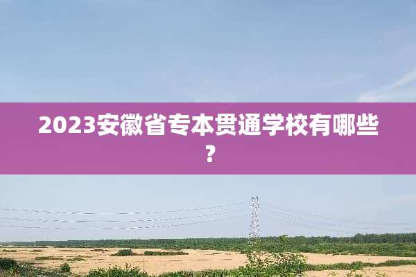 2023安徽省专本贯通学校有哪些？