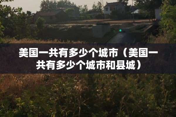美国一共有多少个城市（美国一共有多少个城市和县城）